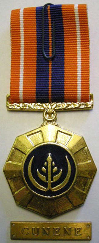 Full Size Pro Patria Medal Numbered at Back Flush Epoxy w/ Cunene Bar