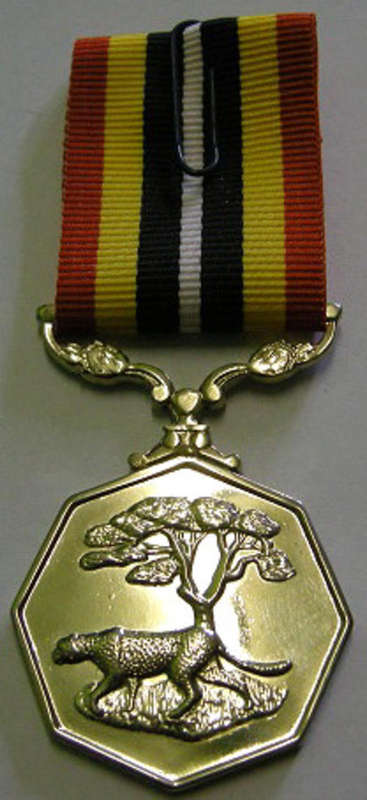 Full Size Southern Africa Medal Double Face Suspender Tall Grass Poor Detail Nr Engraved on Rim