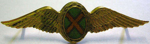 S.A.A.F. Commando Pilot Mess Dress Wing Pins Intact