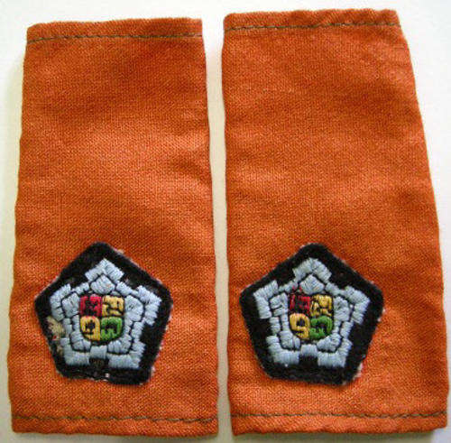 S.A.A.F. Maritime Flight Suit Major Rank Insignia Pair Note Moth Damage on One Castle