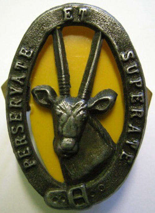 8 SAI Beret Badge w/ Yellow Plastic Backing