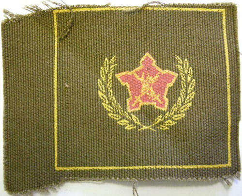 5 Years Voluntary Service Badge 1st Pattern Printed on Material