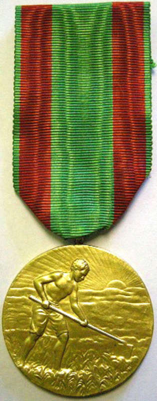 Full Size Medal Territoire Du Cameroun Merite Indigene NOTE Marked SAM (Plate Loss on Rim)