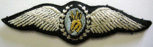 SA Army Air Reconnaissance Wing Embroidered on Felt Padded Owen C122 Note Glue Mark at Back