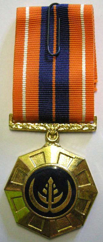 Full Size Pro Patria Medal Numbered at Back Flush Epoxy