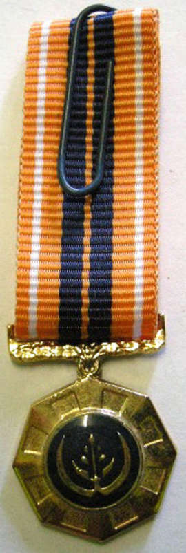 Miniature Pro Patria Medal Raised Epoxy Bright Finish @ Back