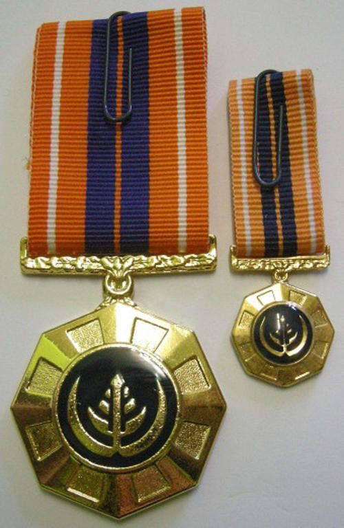 Full Size Pro Patria Medal Nr at Back Flush Epoxy w/ Miniature Pro Patria Medal Raised Epoxy In Box