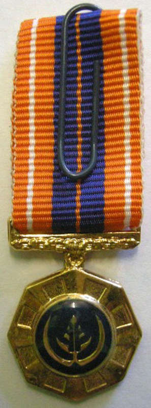 Miniature Pro Patria Medal Raised Epoxy Bright Finish @ Back