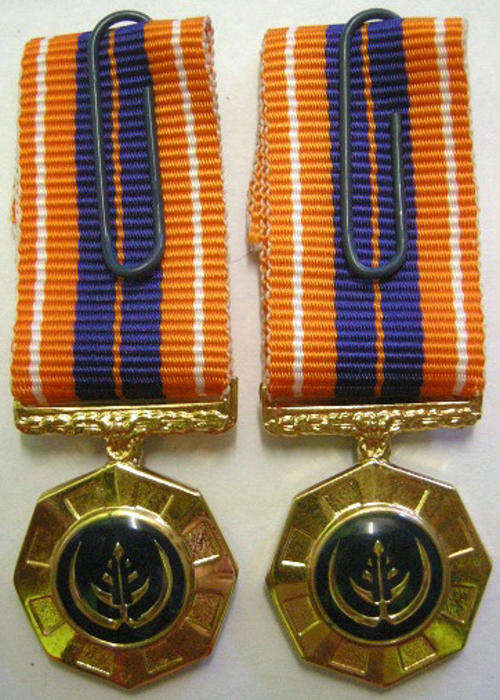 Miniature Pro Patria Medal Raised Epoxy x 2 Variations SEE DESCRIPTION