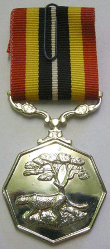 Full Size Southern Africa Medal Double Face Suspender Tall Grass Poor Detail Nr Engraved on Rim