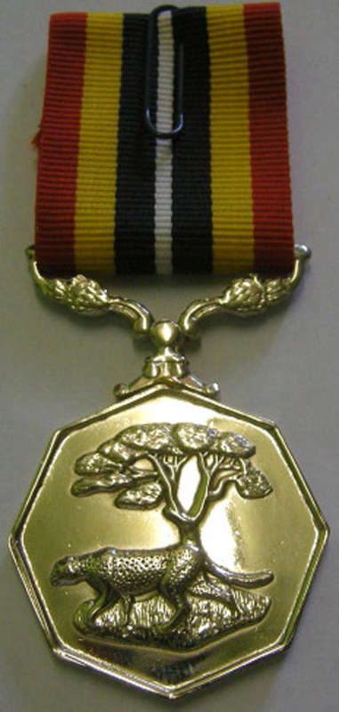 Full Size Southern Africa Medal Double Face Suspender Tall Grass Poor Detail Nr Engraved on Rim