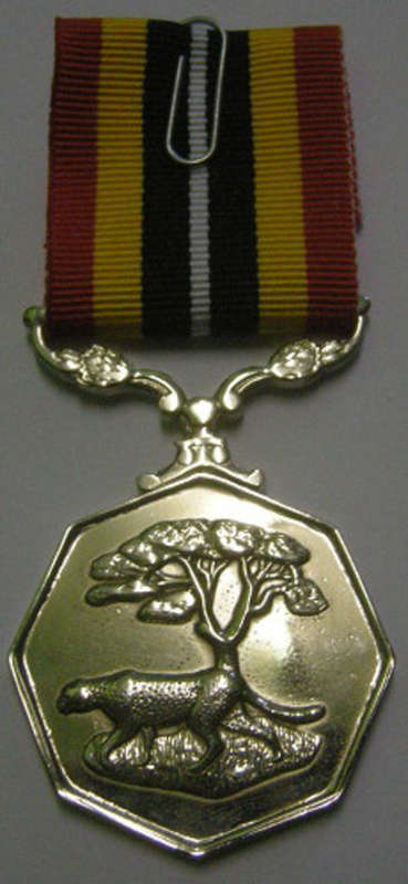 Full Size Southern Africa Medal Double Face Suspender Tall Grass Poor Detail Nr Engraved on Rim