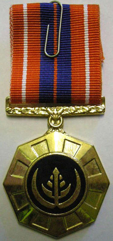Full Size Pro Patria Medal Numbered at Back Flush Epoxy