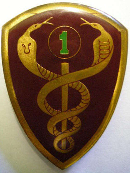 1 Field Ambulance Shoulder Flash Only Two Pins, One Replaced Dinnes 5169