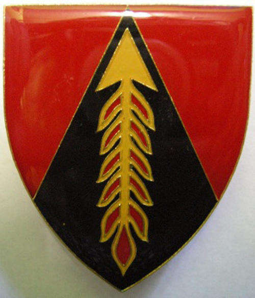 Regiment Eastern Transvaal Shoulder Flash Pins Intact