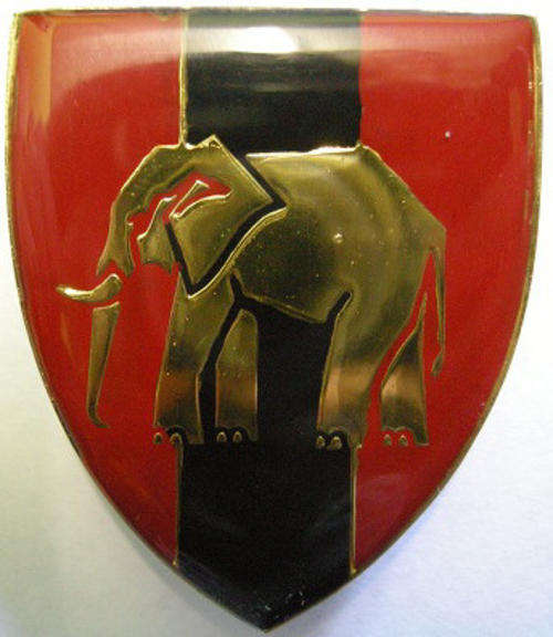 Eastern Province Command Provost Unit Shoulder Flash Pins Intact