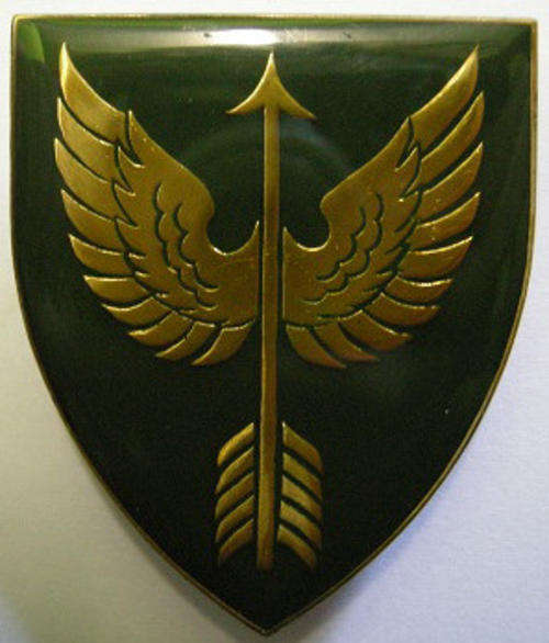 Wemmerpan Commando Shoulder Flash Pins Intact