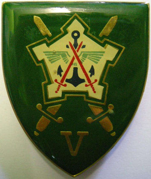 Chief of Staff Finance Shoulder Flash Pins Intact