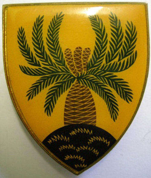4 SA Infantry Battalion Shoulder Flash Pins Intact