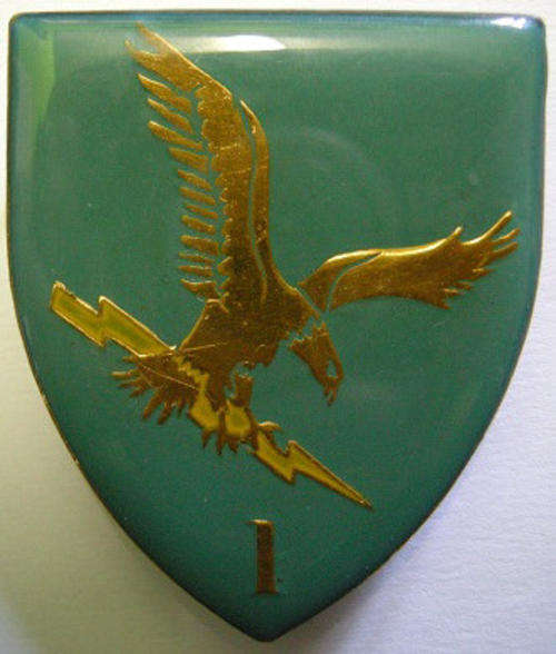 1 Battalion Ciskei Defence Force Shoulder Flash Pins Intact