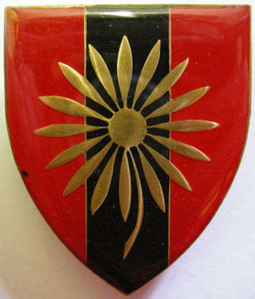 Northern Transvaal Command Provost Unit Shoulder Flash Pins Intact