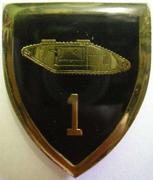 1 Light Horse Regiment Shoulder Flash Pins Intact