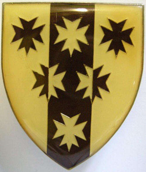 6 Medical Group Battalion Shoulder Flash  Dark Type Only Two Pins