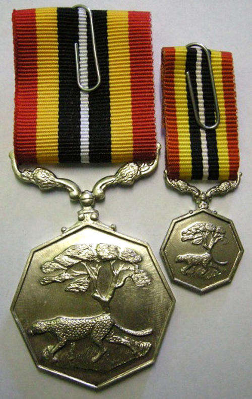 Full Size Southern Africa Medal Uniface Susp Short Grass Crisp Detail Matte Nr w/ Miniature