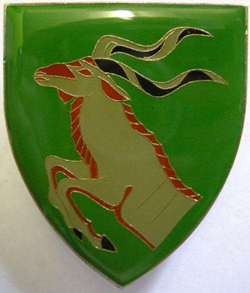 Queenstown Commando Shoulder Flash Pins Intact