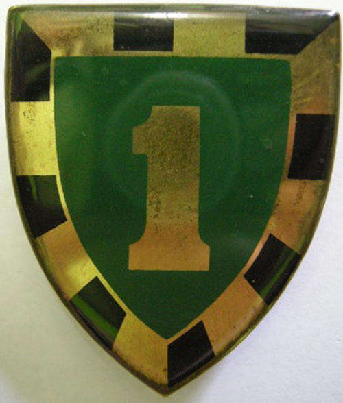1 SA Infantry Battalion Shoulder Flash Pins Intact