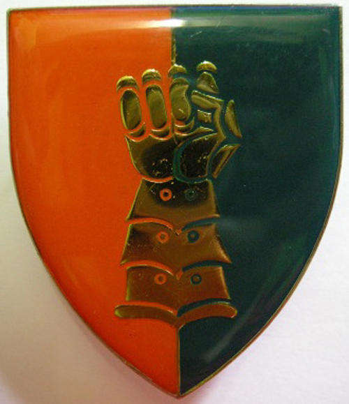 81 Armoured Brigade Shoulder Flash Pins Intact