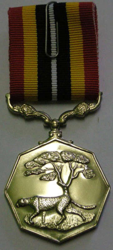 Full Size Southern Africa Medal Uniface Susp Short Grass Crisp Detail Mirror Finish Nr @ Back In Box