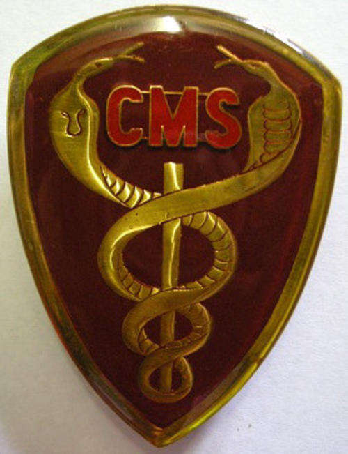 Central Medical Stores Shoulder Flash Pins Intact