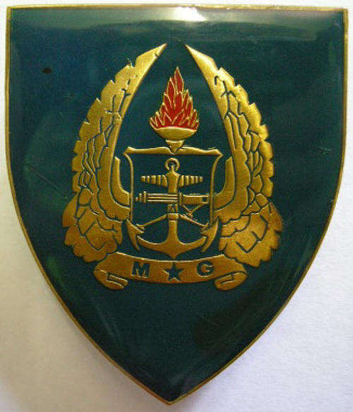 Army Gymnasium Shoulder Flash Pins Intact