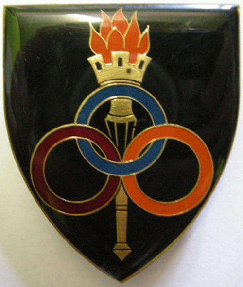 Services School Shoulder Flash Orange Flame Pins Intact