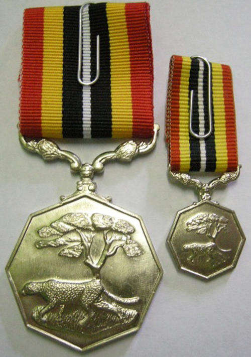 Full Size Southern Africa Medal Uniface Susp Short Grass Crisp Detail Matte Nr w/ Miniature