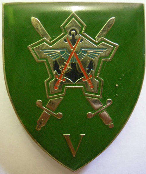 Chief of Staff Finance Shoulder Flash Silver Type Pins Intact