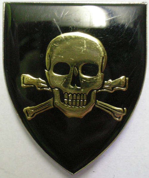 Dundee & District Commando Shoulder Flash Pins Intact