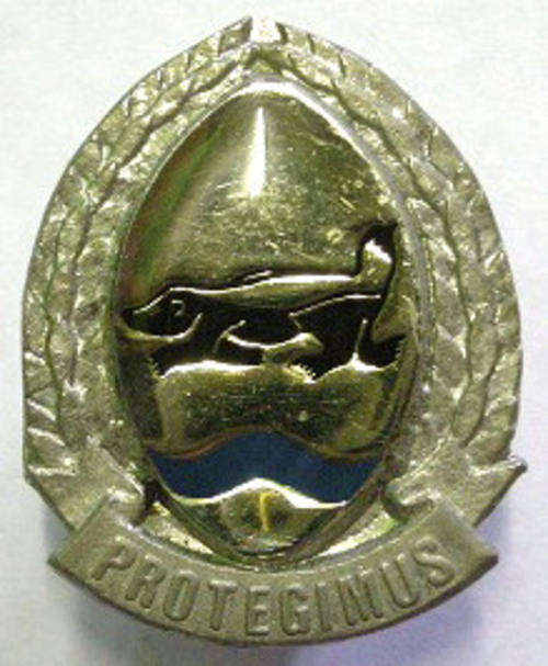 Insele Commando Chrome & Enamel Cap Badge Lucite Covered Centre