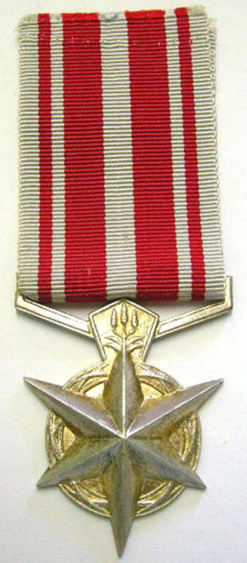 Full Size South African Police Medal for Combating Terrorism 1974 Unnamed