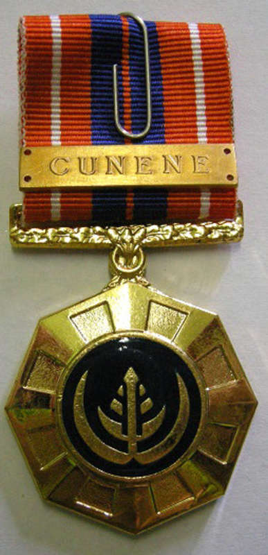 Full Size Pro Patria Medal Numbered at Back Flush Epoxy w/ Cunene Bar
