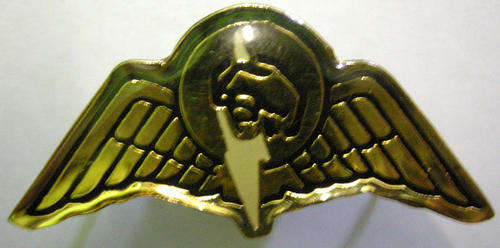 SA Railways Police Task Force Breast Badge Dinnes 1235