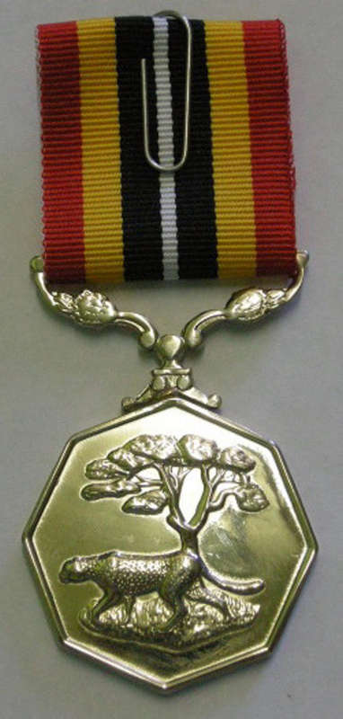 Full Size Southern Africa Medal Double Face Suspender Tall Grass Poor Detail Nr Engraved on Rim