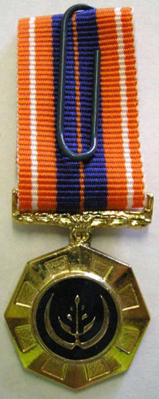 Miniature Pro Patria Medal Flush Epoxy Bright Finish @ Back