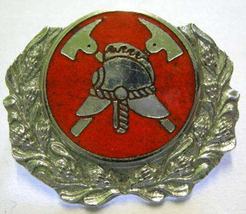 Army Qualified Fireman Officers & Warrant Officers Proficiency Badge Dinnes 924