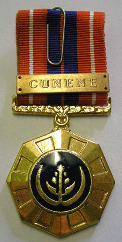 Full Size Pro Patria Medal Numbered at Back Flush Epoxy w/ Cunene Bar