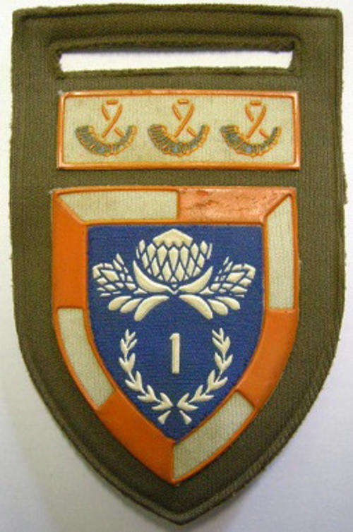 1 Special Service Battalion Rubberised Shoulder Flash Pin Intact