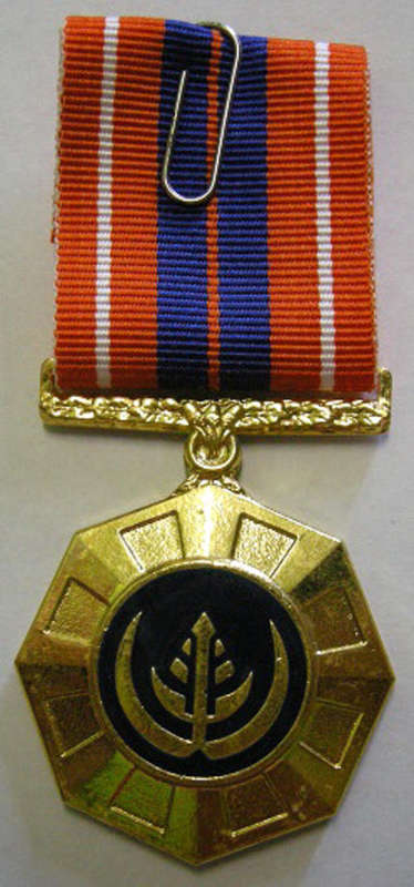 Full Size Pro Patria Medal Numbered at Back Flush Epoxy