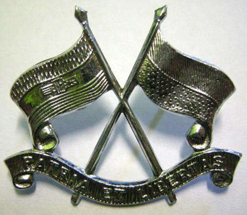 Light Horse Regiment Chromed Cap Badge Dinnes 716