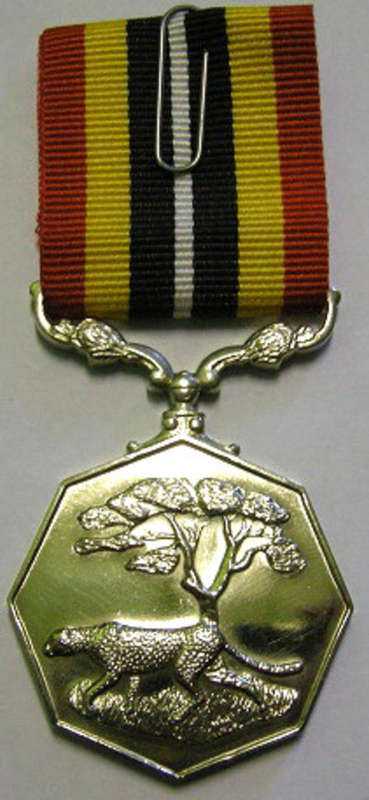 Full Size Southern Africa Medal Uniface Susp Short Grass Crisp Detail Mirror Finish Nr @ Back In Box